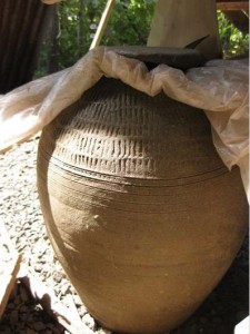 ไหปลาร้า