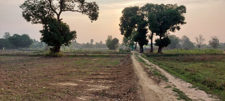 สุรินทร์ถิ่นอีสานใต้: มหัศจรรย์ดินแดนสามวัฒนธรรม มนต์เสน่ห์แห่งคชศาสตร์และผ้าไหม